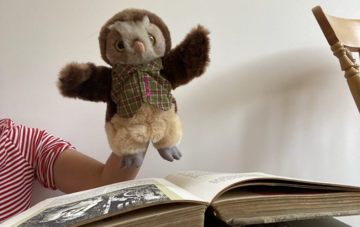 Arm holding an owl puppet for sensory storytelling